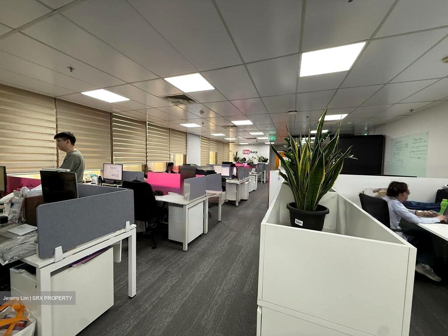 Peninsula Shopping Complex (D6), Office #484092631